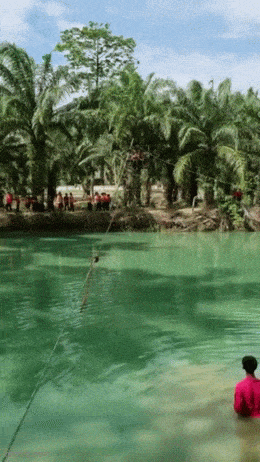 Подборка гифок -  01.12.2025