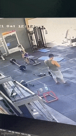 Подборка гифок -  01.12.2025