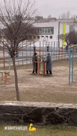 Подборка гифок -  01.12.2025