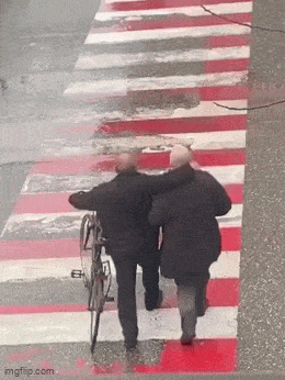 Подборка гифок -  01.12.2025