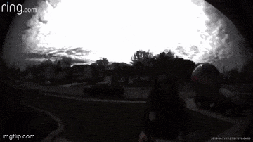 Подборка гифок -  01.12.2025