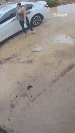 Подборка гифок -  01.12.2025