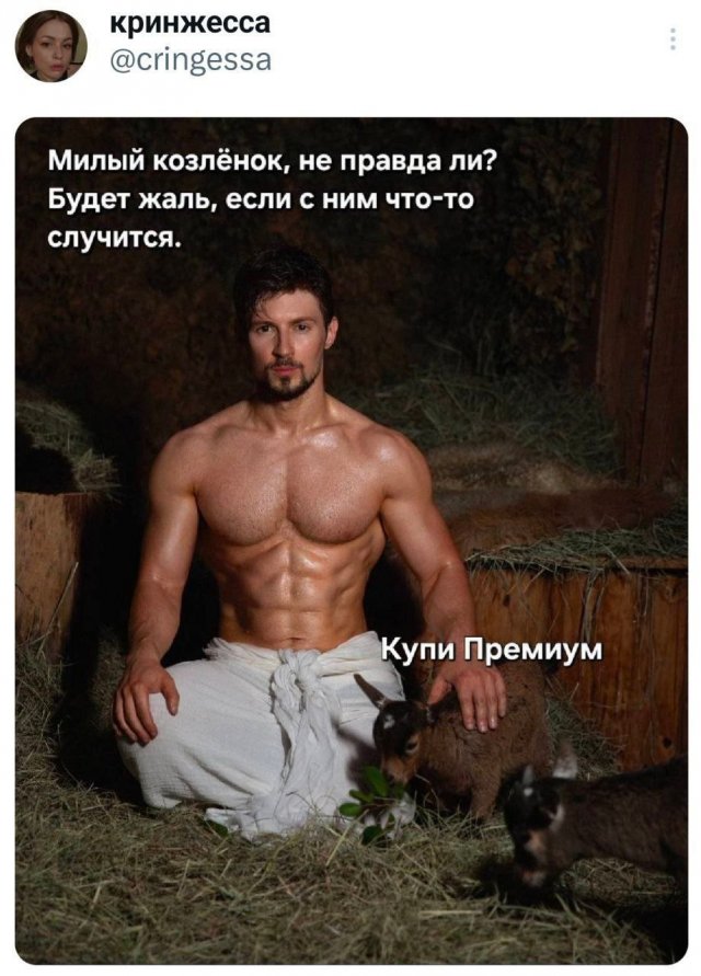 Лучшие шутки и мемы из Сети - 01.12.2025