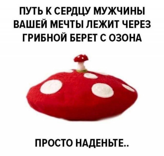 Лучшие шутки и мемы из Сети - 01.12.2025