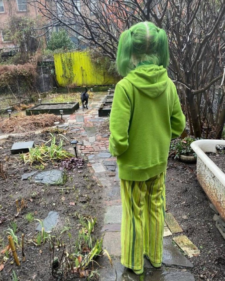 Женщина, которая носит только зелёную одежду. Женщина, которая носит только зелёную одежду.