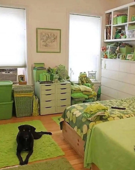 Женщина, которая носит только зелёную одежду. Женщина, которая носит только зелёную одежду.