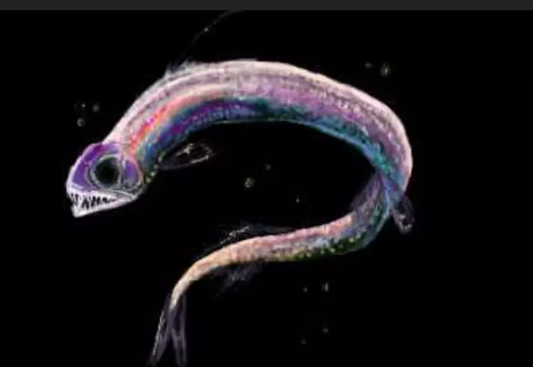 Жуткие обитатели морской бездны.