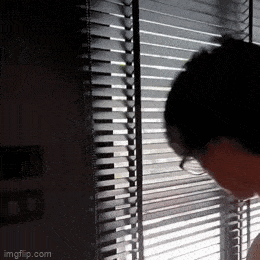 Подборка гифок -  02.12.2025