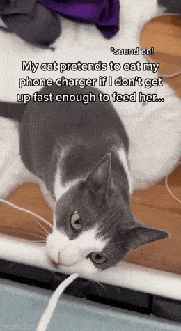 Подборка гифок -  02.12.2025