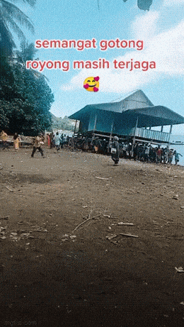 Подборка гифок -  02.12.2025