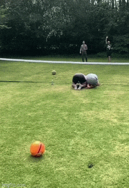 Подборка гифок -  02.12.2025