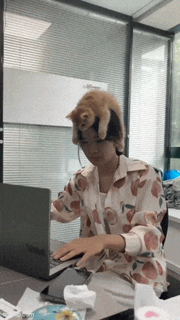 Подборка гифок -  02.12.2025