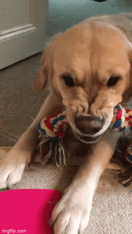 Подборка гифок -  02.12.2025