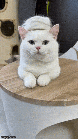 Подборка гифок -  02.12.2025