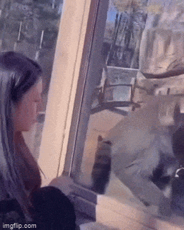 Подборка гифок -  02.12.2025