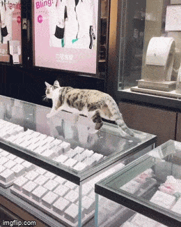 Подборка гифок -  02.12.2025