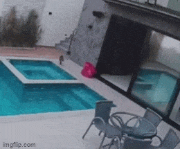 Подборка гифок -  02.12.2025