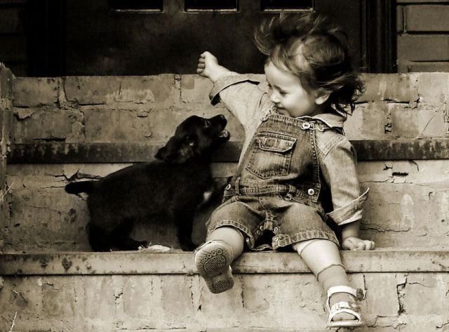 Подборка картинок. Вечерний выпуск - 02.12.2025