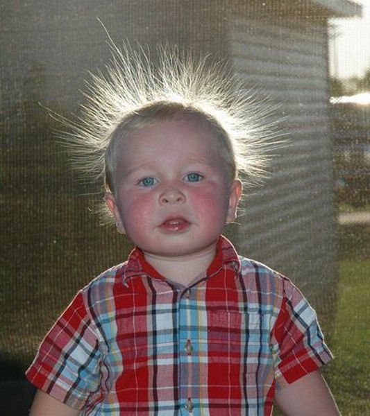 Подборка картинок. Вечерний выпуск - 02.12.2025