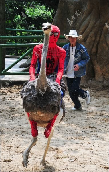 Подборка картинок. Вечерний выпуск - 02.12.2025