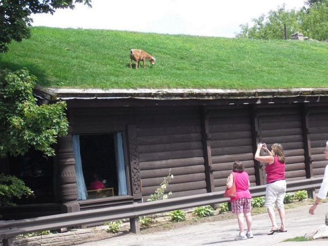 Подборка картинок. Вечерний выпуск - 02.12.2025