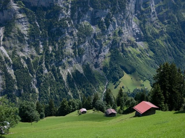 Подборка картинок. Вечерний выпуск - 02.12.2025