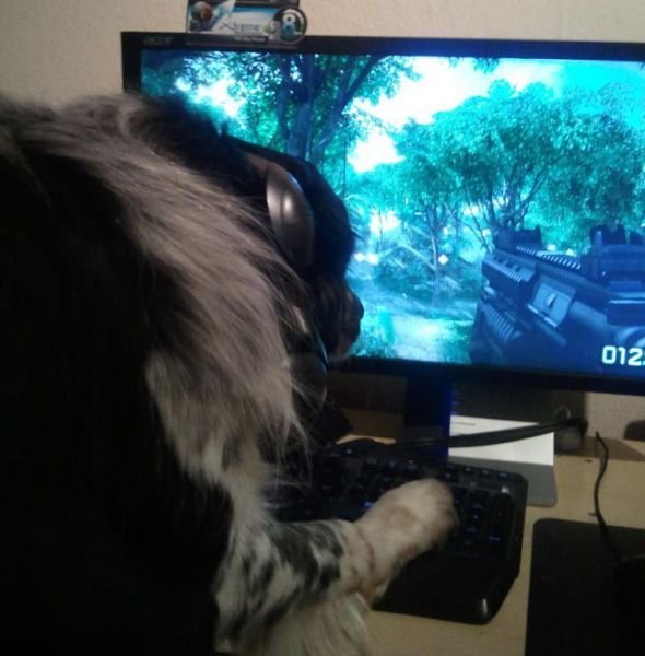 Подборка картинок. Вечерний выпуск - 02.12.2025