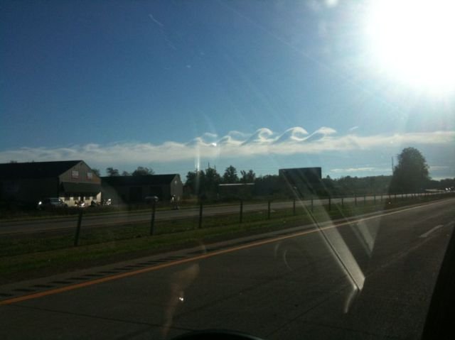 Подборка картинок. Вечерний выпуск - 02.12.2025