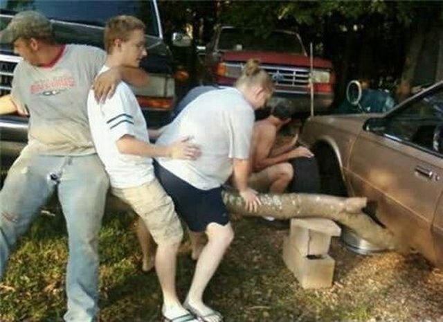 Подборка картинок. Вечерний выпуск - 02.12.2025