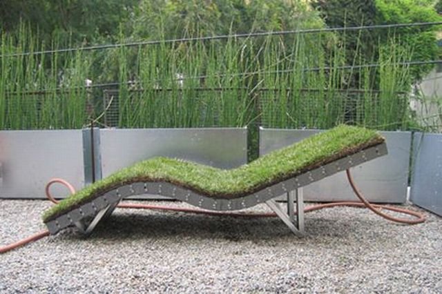 Подборка картинок. Вечерний выпуск - 02.12.2025