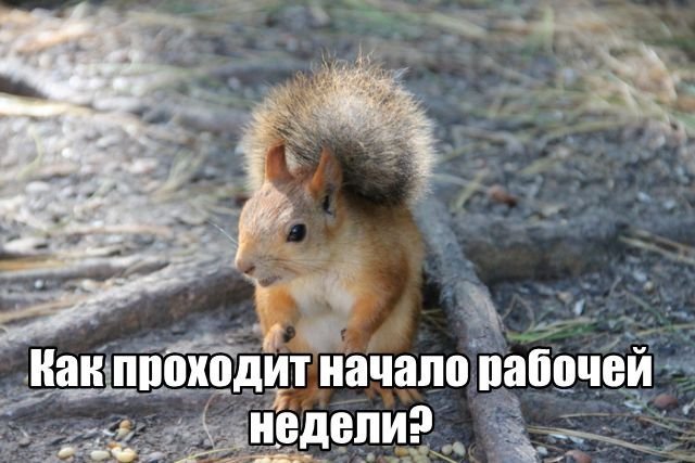 Трынделка - 02.12.2025