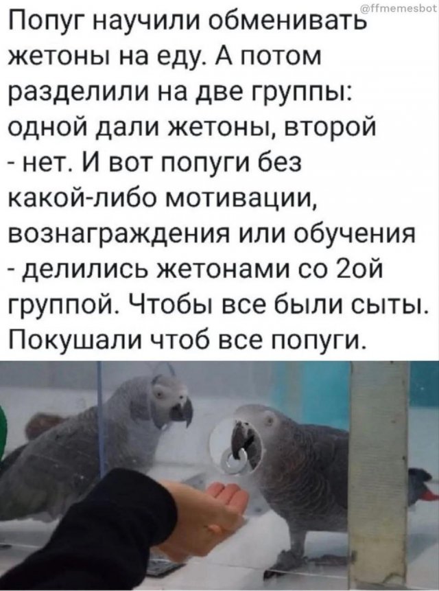 Лучшие шутки и мемы из Сети - 02.12.2025