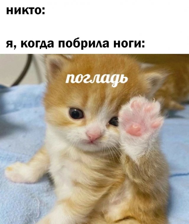 Лучшие шутки и мемы из Сети - 02.12.2025