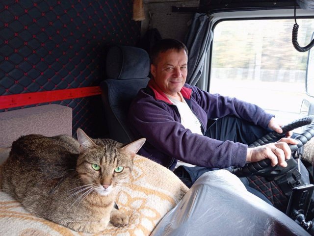 Добрая история про потерянного кота, который проехал всю Россию Добрая история про потерянного кота, который проехал всю Россию