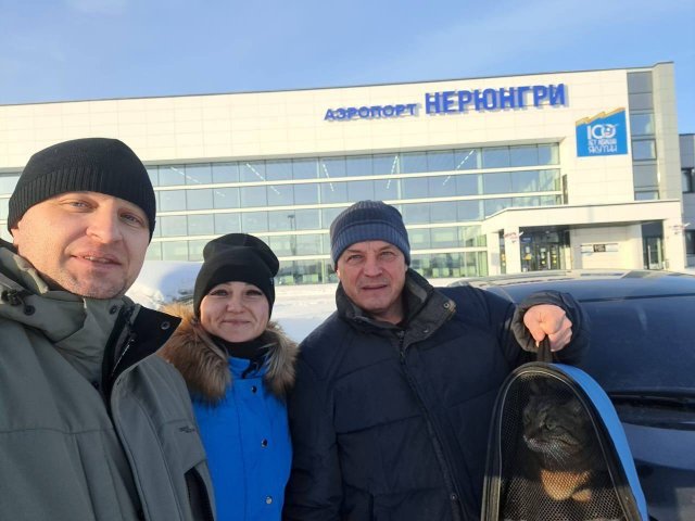 Добрая история про потерянного кота, который проехал всю Россию Добрая история про потерянного кота, который проехал всю Россию