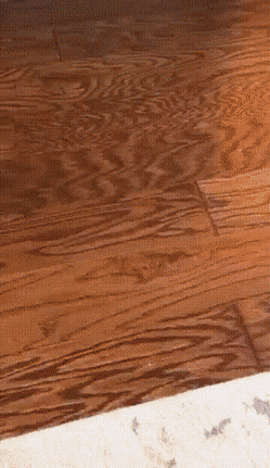 Подборка гифок -  03.12.2025