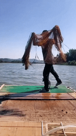 Подборка гифок -  03.12.2025