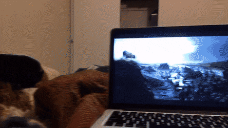 Подборка гифок -  03.12.2025