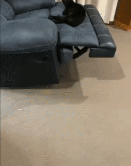 Подборка гифок -  03.12.2025