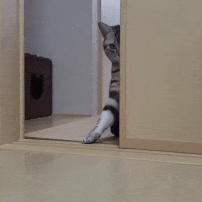 Подборка гифок -  03.12.2025