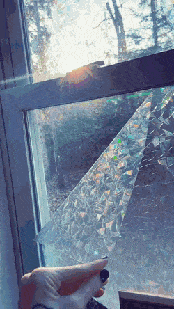 Подборка гифок -  03.12.2025