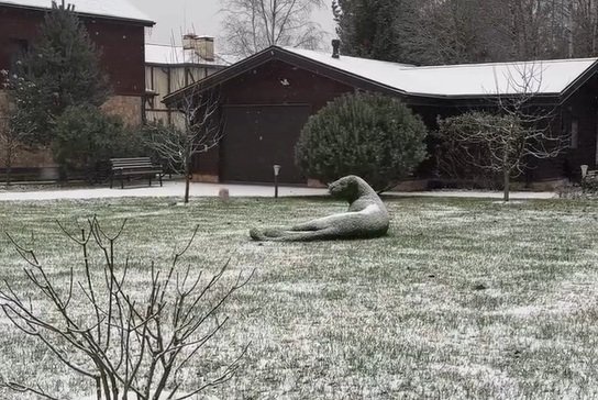 Фейл от смешного кота