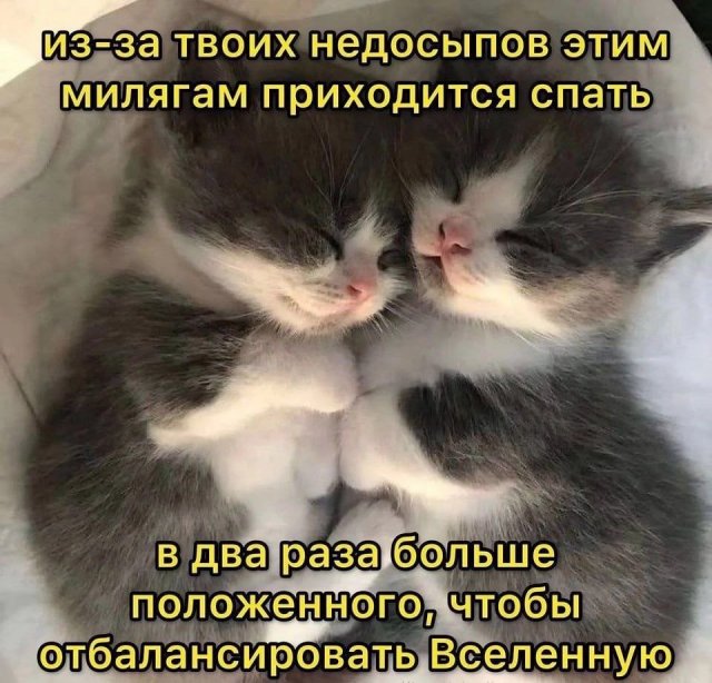 Лучшие шутки и мемы из Сети - 03.12.2025