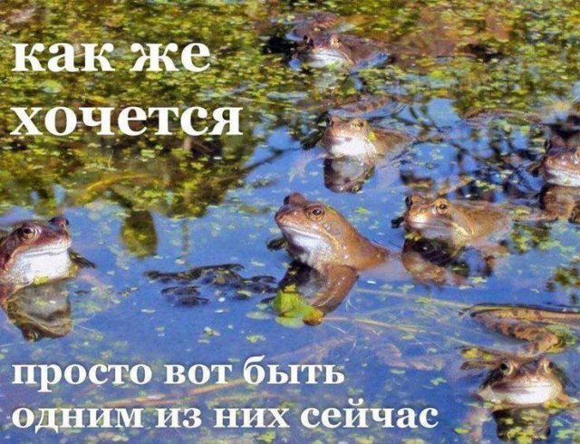 Лучшие шутки и мемы из Сети - 03.12.2025