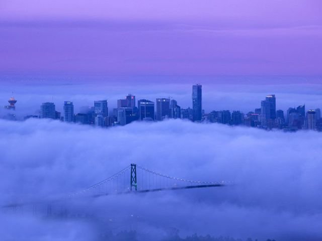 Подборка картинок. Вечерний выпуск - 03.12.2025