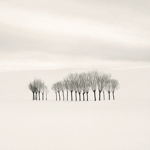 Подборка картинок. Вечерний выпуск - 03.12.2025