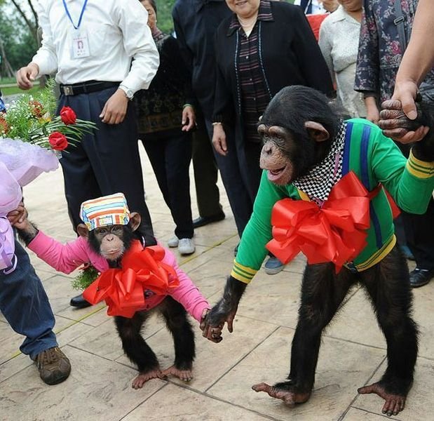 Подборка картинок. Вечерний выпуск - 03.12.2025