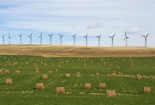 Подборка картинок. Вечерний выпуск - 03.12.2025