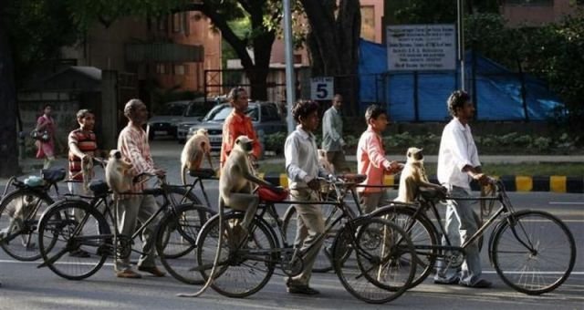 Подборка картинок. Вечерний выпуск - 03.12.2025