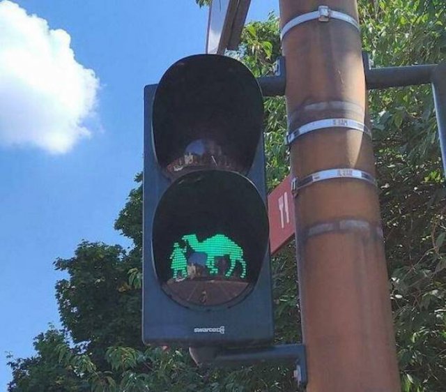 Подборка картинок. Вечерний выпуск - 04.12.2025